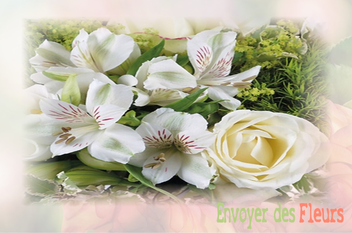 envoyer des fleurs à à DREUIL-LES-AMIENS